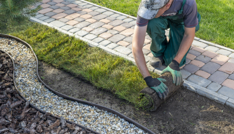 Landscaping